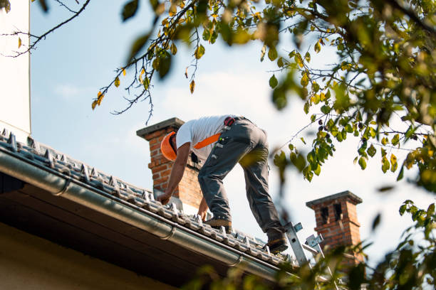 Best Roof Repair Services  in Chena Ridge, AK