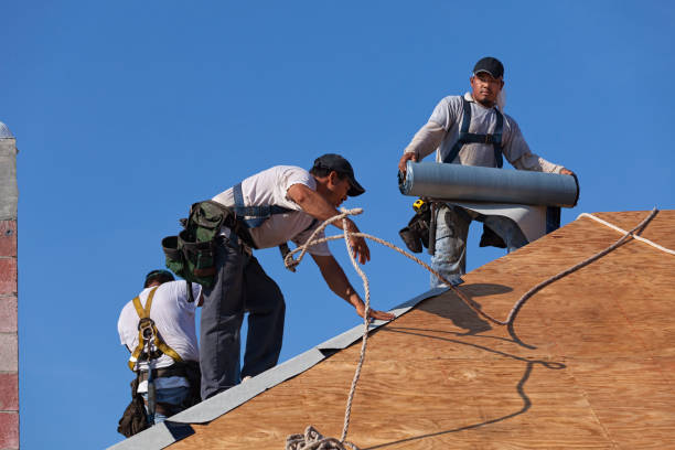 Best Metal Roofing Contractor  in Chena Ridge, AK
